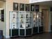 DisplayCase20
